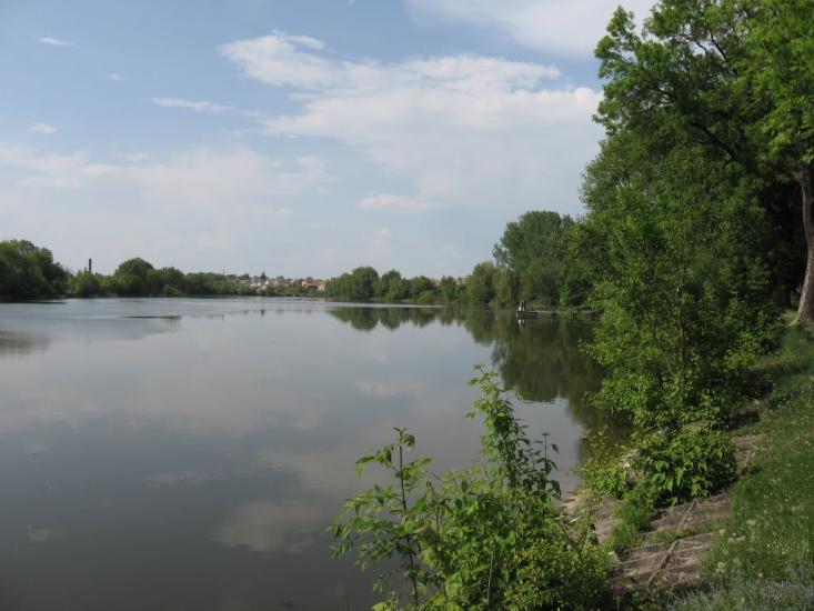 Копичинці з panoramio.com - Копычинцы