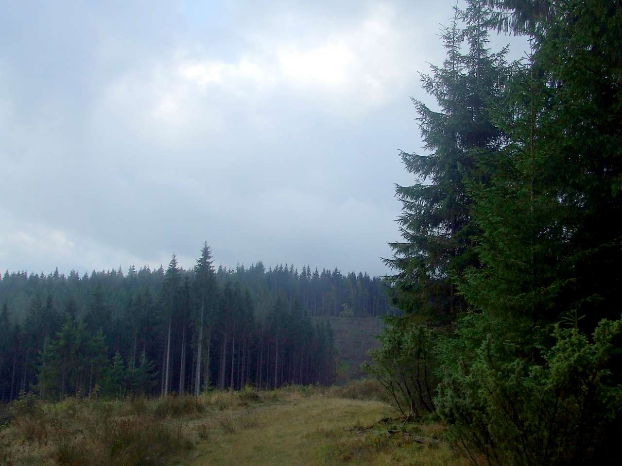 Краєвид - Вишків