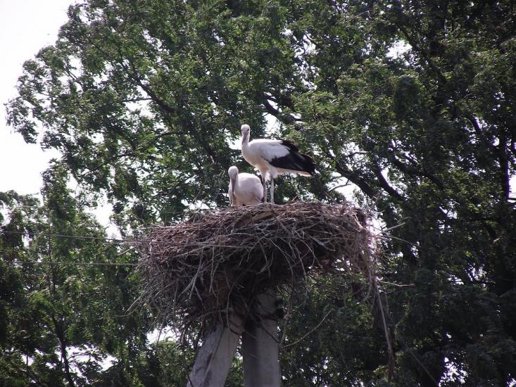 Озерне з panoramio.com - Озерне