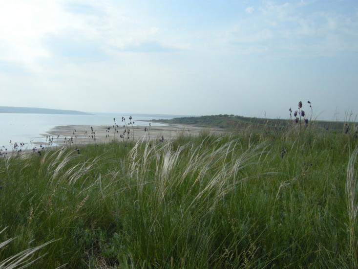 Кубанка з panoramio.com - Кубанка