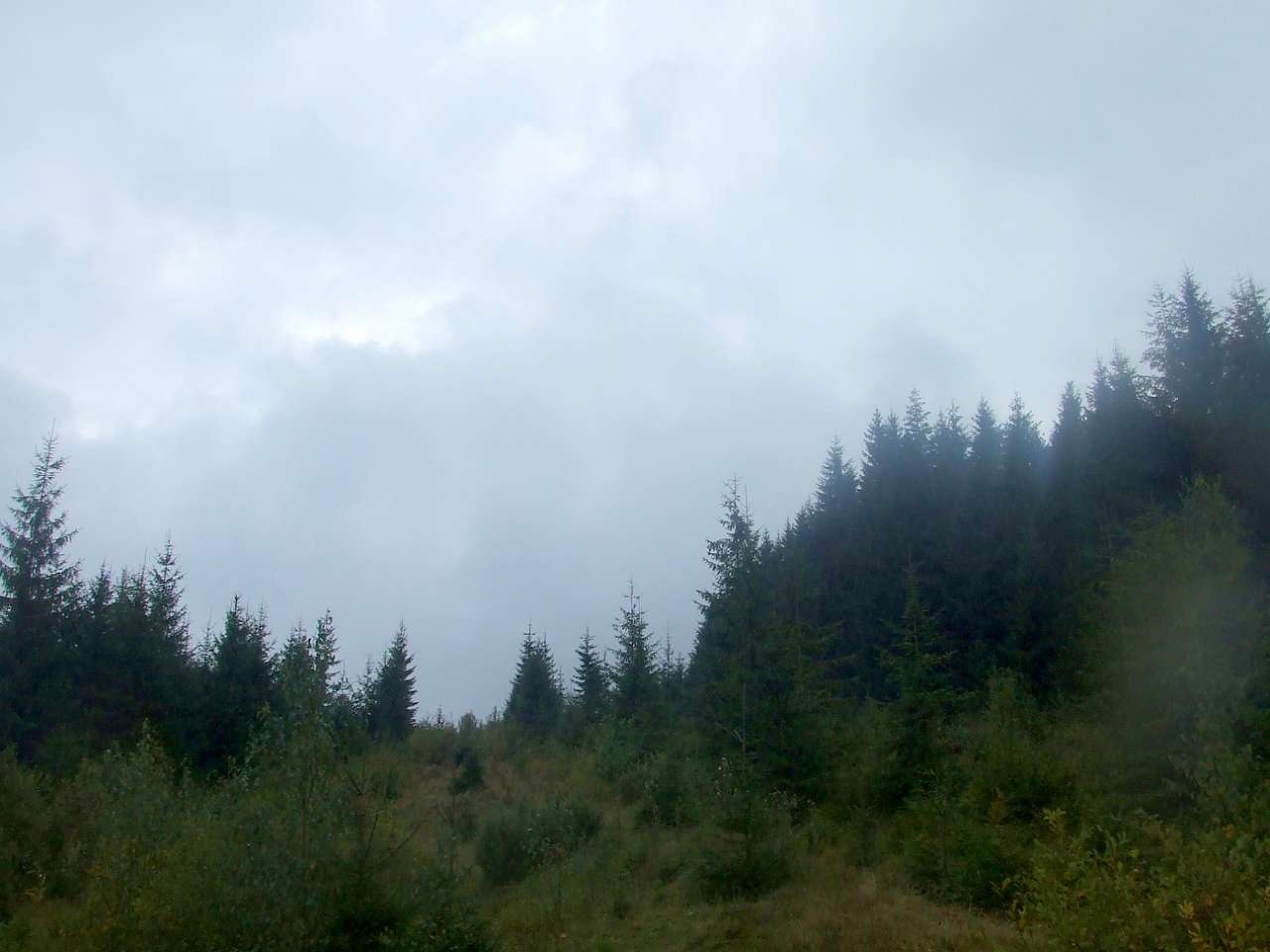 Краєвид - Вышков