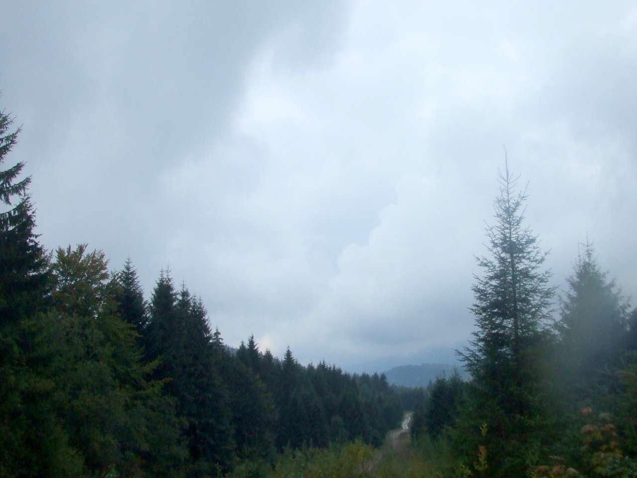 Краєвид - Вишків