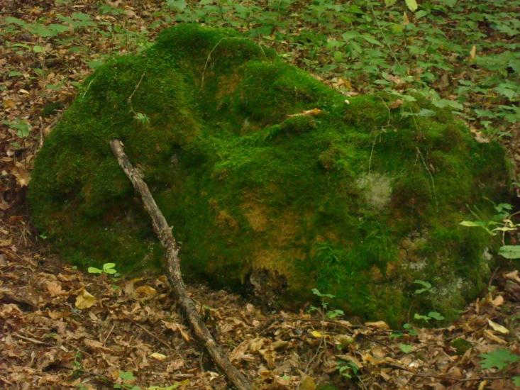 Маціорськ з panoramio.com - Мациорск