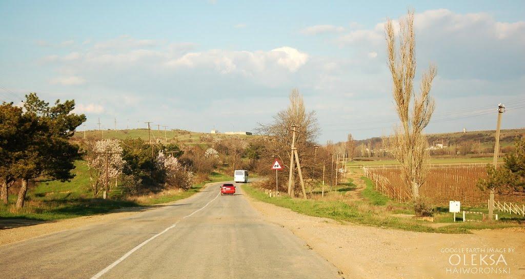 Віліне з panoramio.com - Viline
