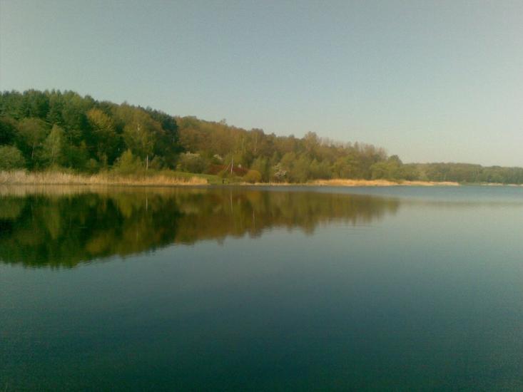 Малечковичі з panoramio.com - Малечковичи