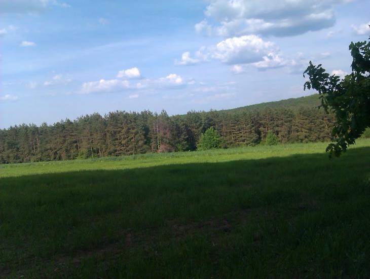 Журавка з panoramio.com