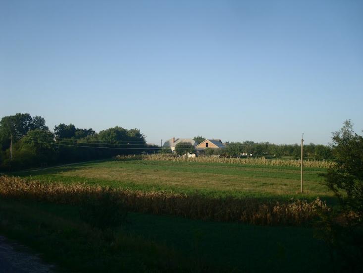 Вільховець з panoramio.com - Ольховец