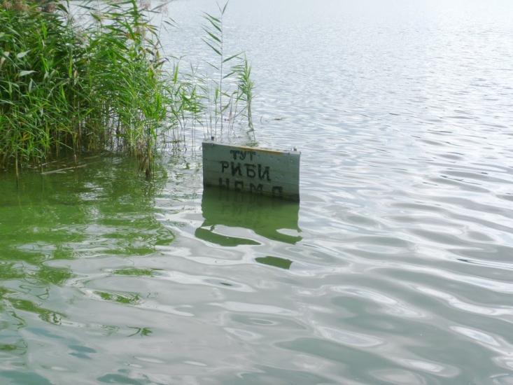 Малечковичі з panoramio.com - Малечковичі