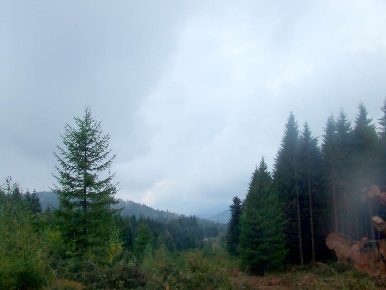 Краєвид - Вышков