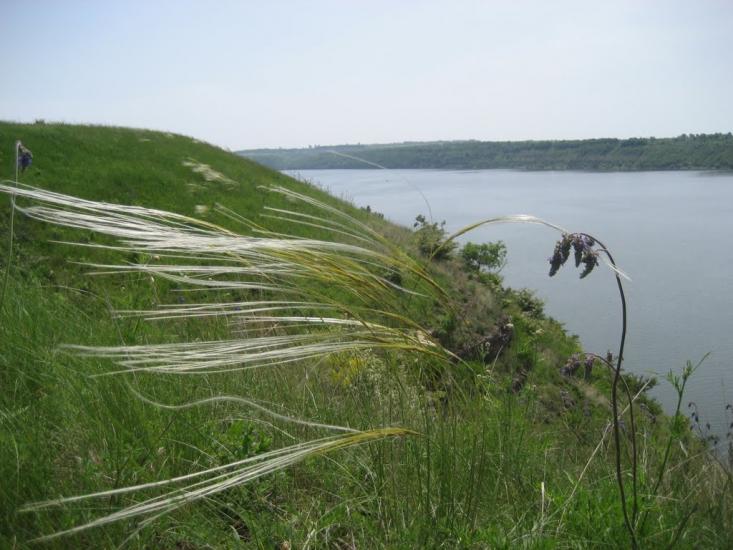 Вороновиця з panoramio.com - Вороновица