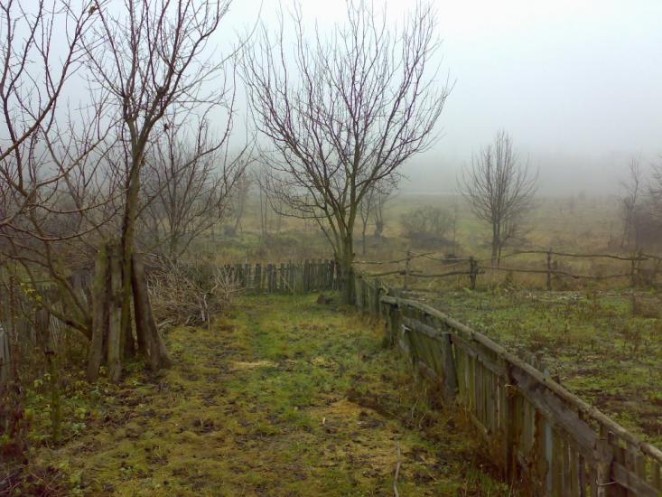 Березна з panoramio.com - Березна