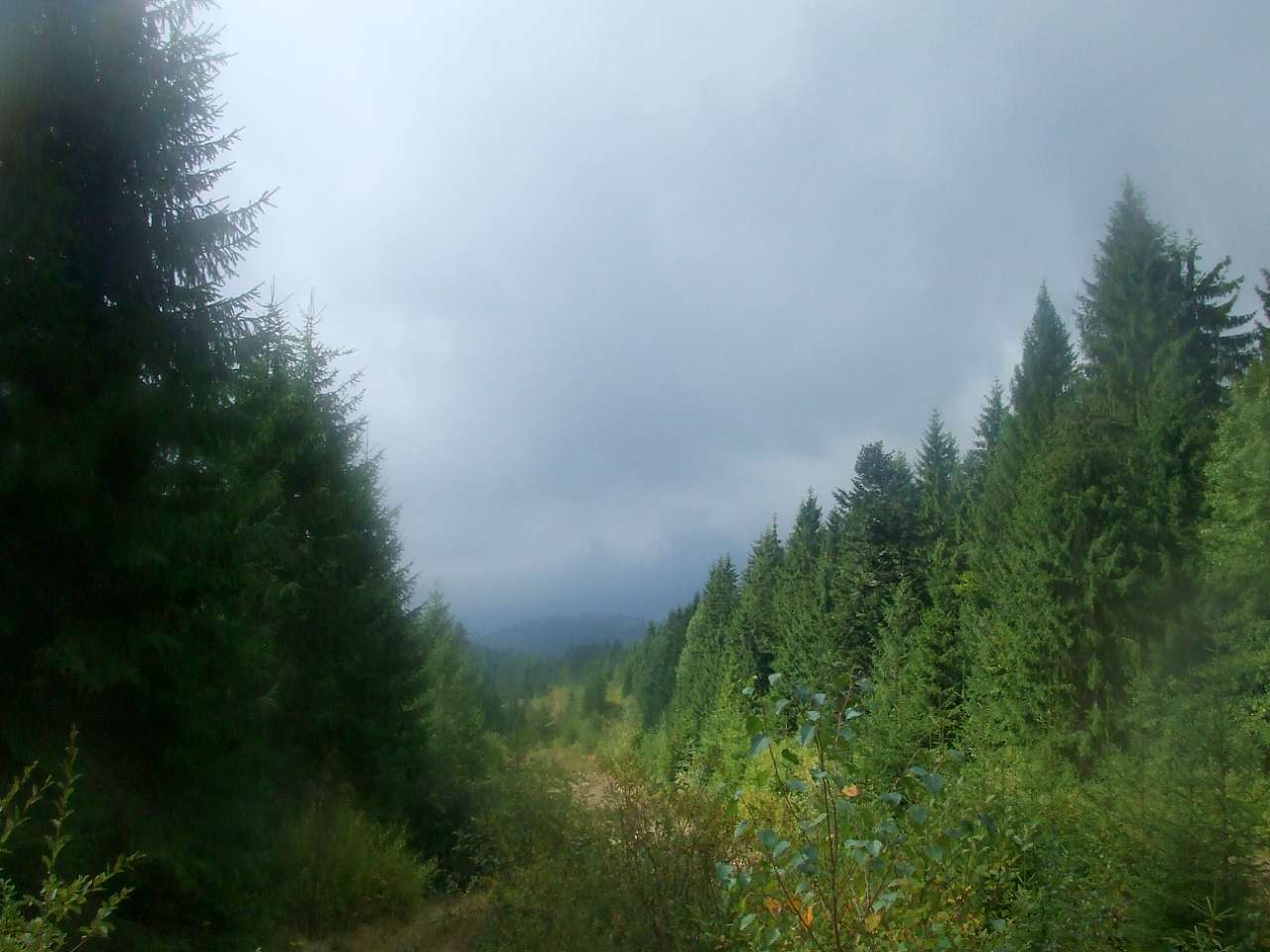 Краєвид - Вишків