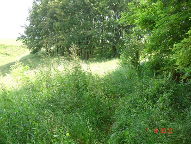 Шишківці з panoramio.com - Шишківці