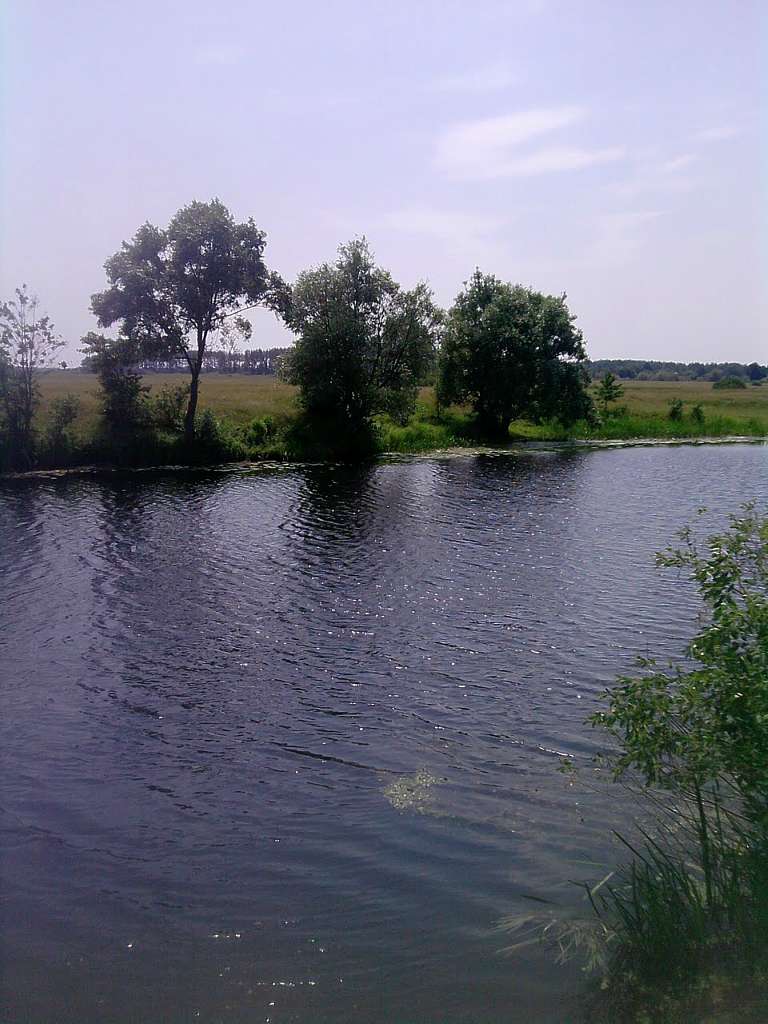 Блистова(фото з інтернету) - Блистова