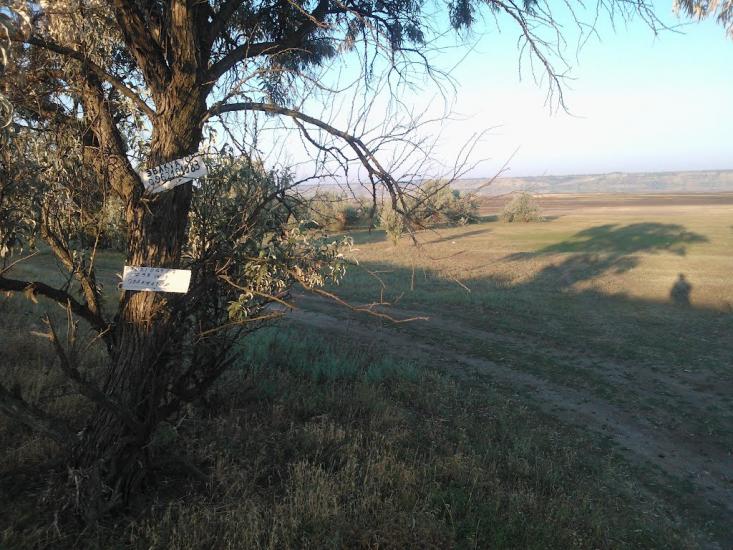 Кубанка з panoramio.com - Кубанка