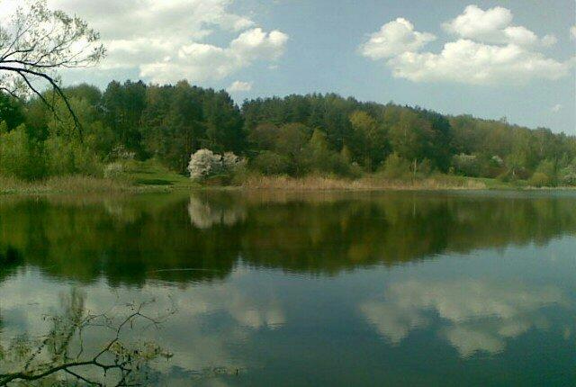 Малечковичі з panoramio.com - Малечковичи