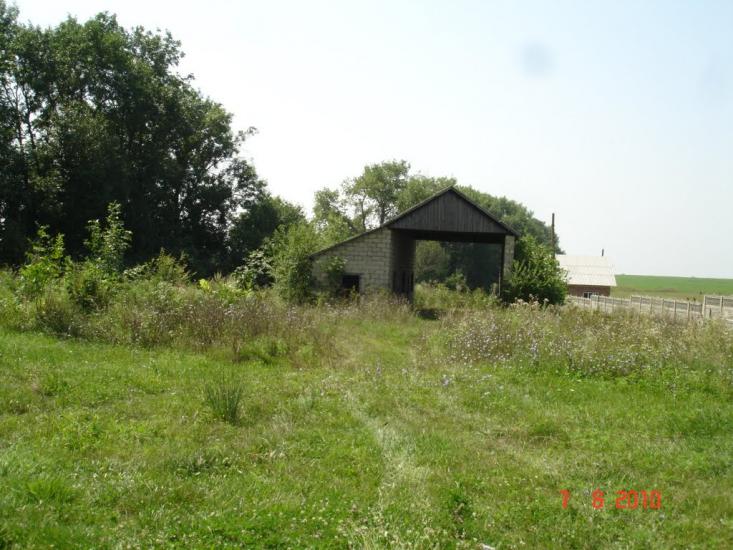 Динівці з panoramio.com - Диновцы