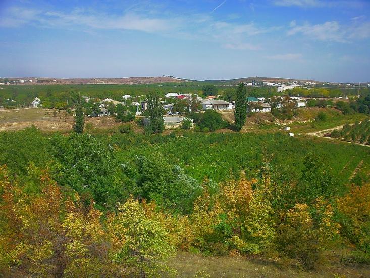 Каштани з panoramio.com - Каштани