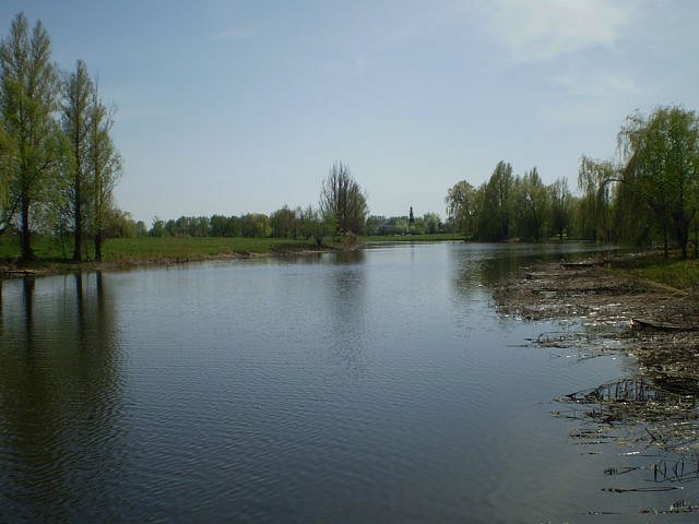 більковці - Більківці