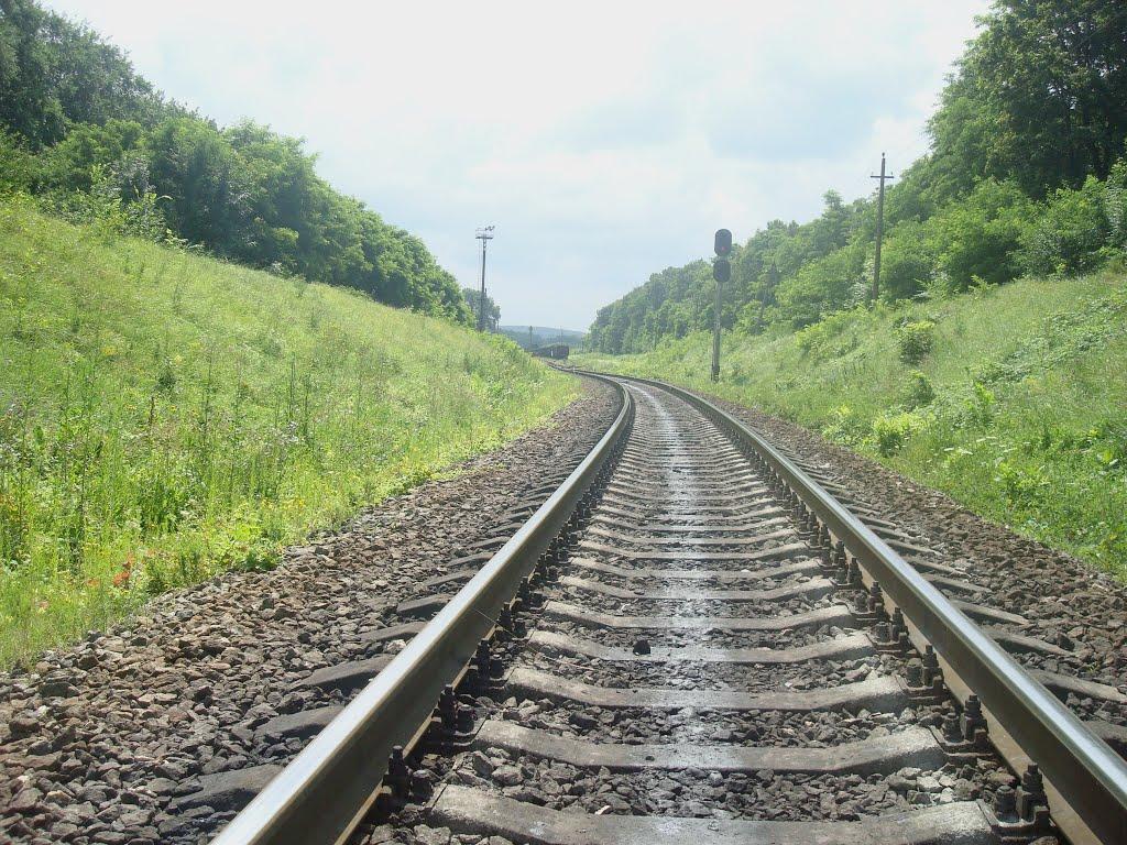Нігин з panoramio.com - Негин