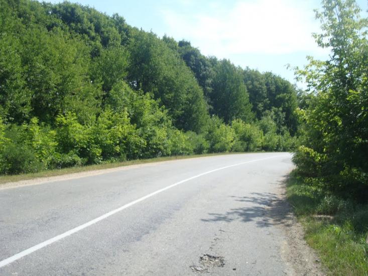 Струга з panoramio.com - Струга