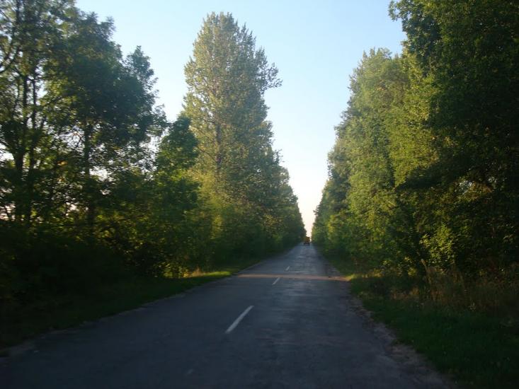 Вільховець з panoramio.com - Vilkhovets