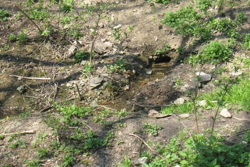 Мінеральне з panoramio.com - Мінеральне