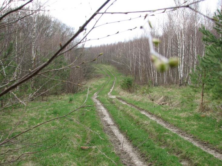 Гавареччина з panoramio.com - Гавареччина