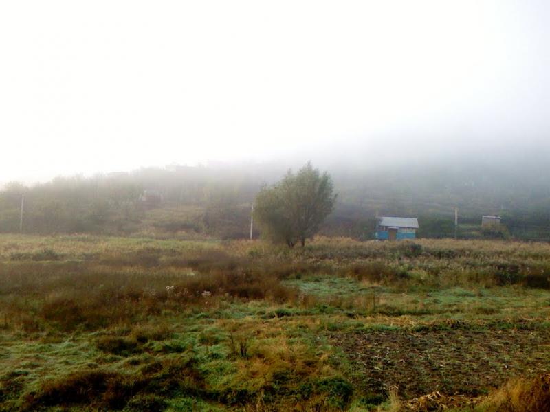 Сурсько-Литовське з panoramio.com - Сурско-Литовское