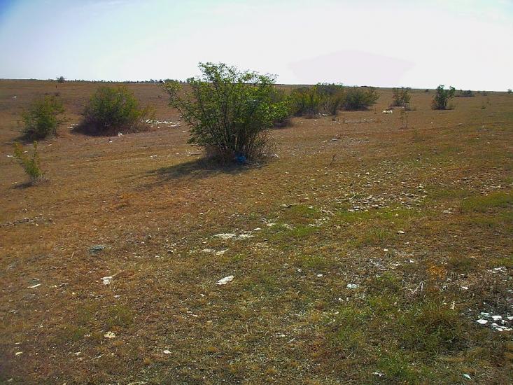 Кочергіне з panoramio.com - Кочергино