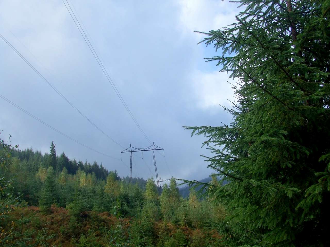 Краєвид - Вишків