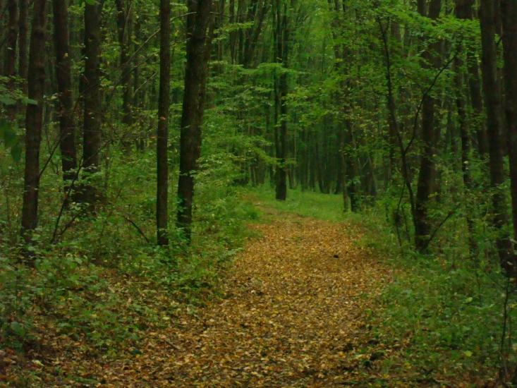 Маціорськ з panoramio.com - Мациорск