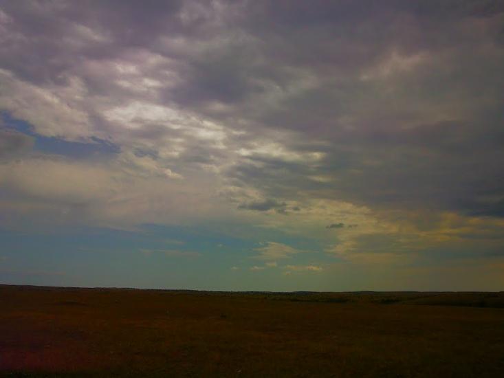 Каштани з panoramio.com - Каштани