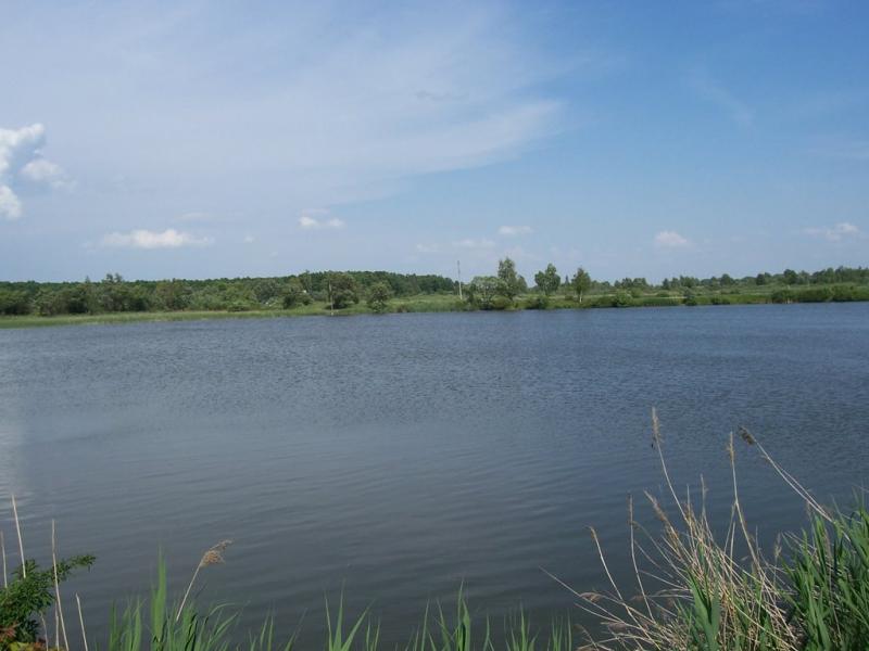 Семенівка з panoramio.com - Семенівка