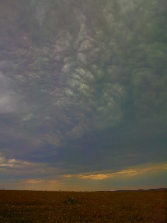 Каштани з panoramio.com - Каштани