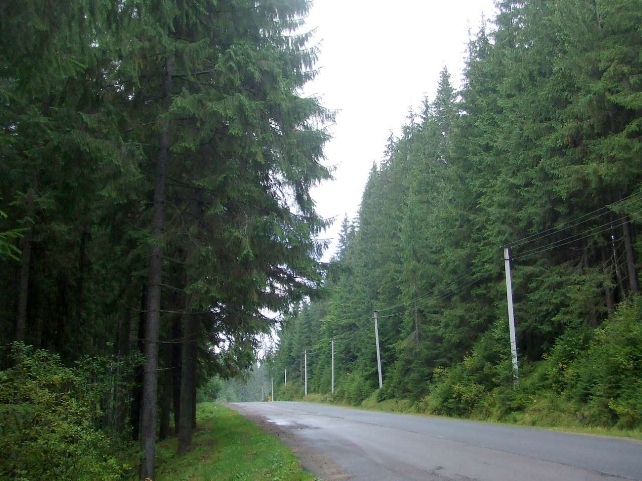 Краєвид - Вишків