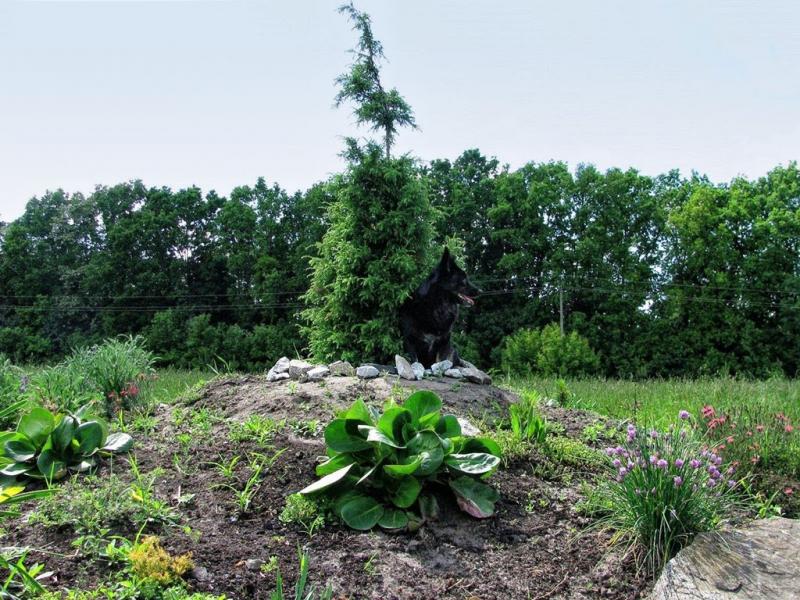 Заїзд з panoramio.com - Zayizd