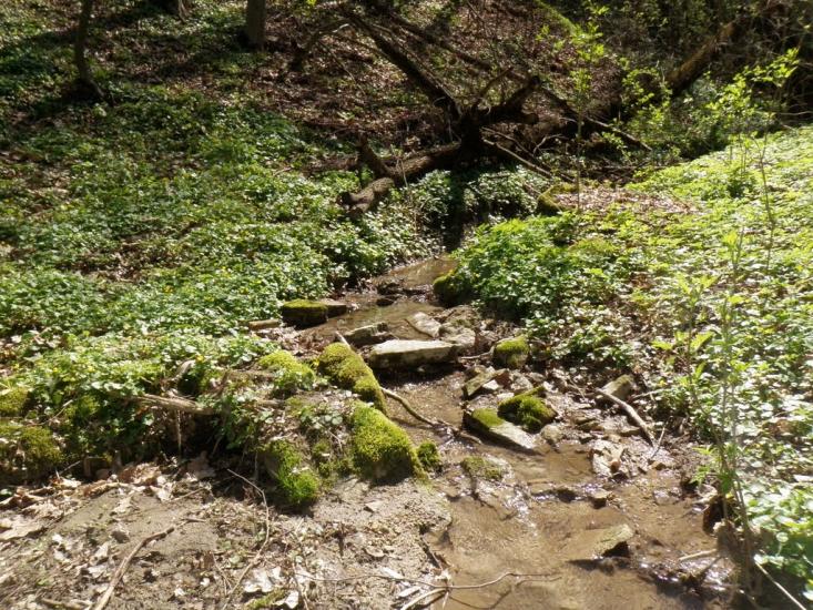 Врублівці з panoramio.com - Врублевцы