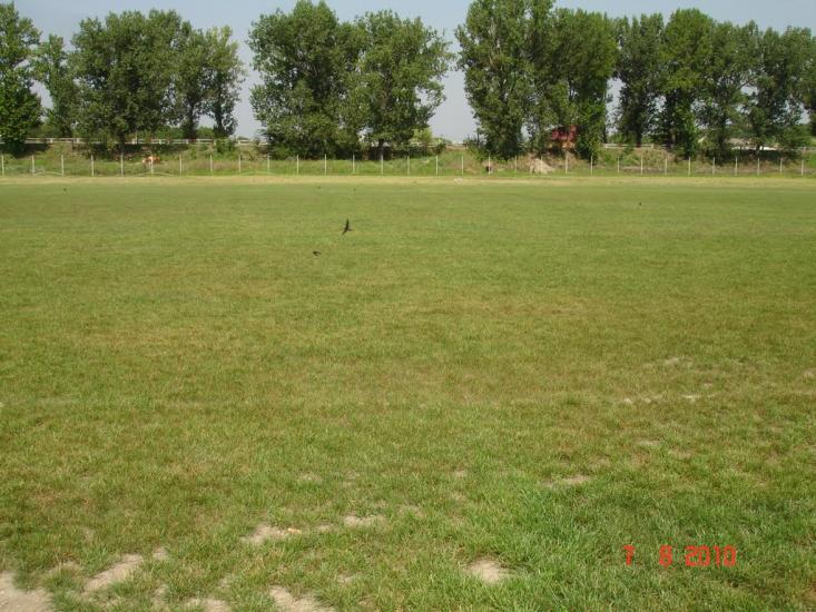 Динівці з panoramio.com - Диновцы