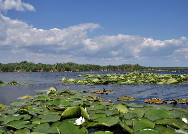 Кізомис з panoramio.com - Kizomys