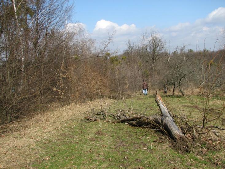 Волуйки з panoramio.com - Voluyky