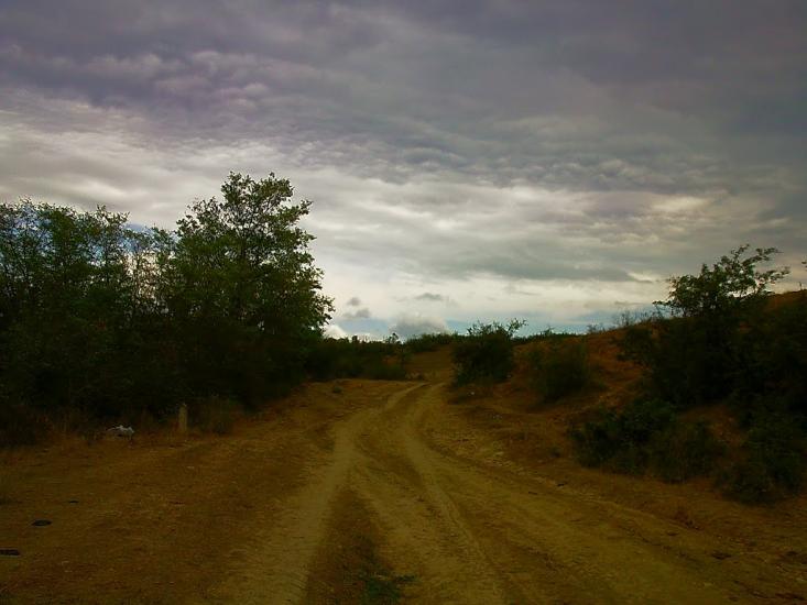 Шевченкове з panoramio.com - Шевченково