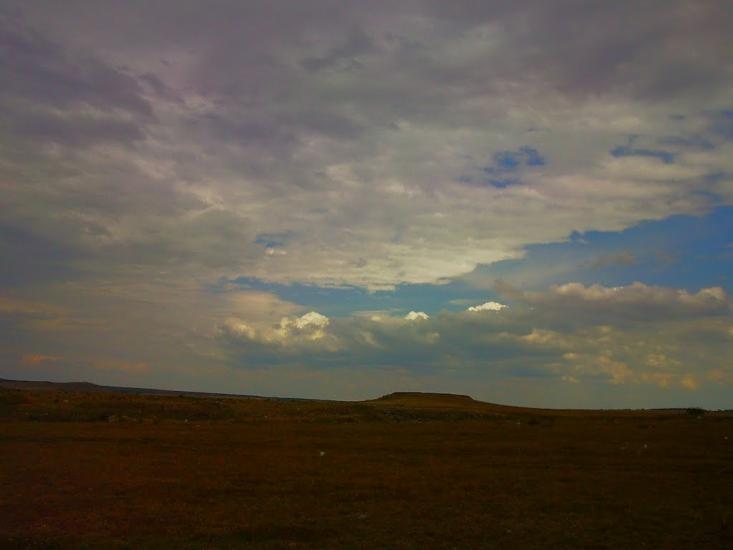 Каштани з panoramio.com - Каштани