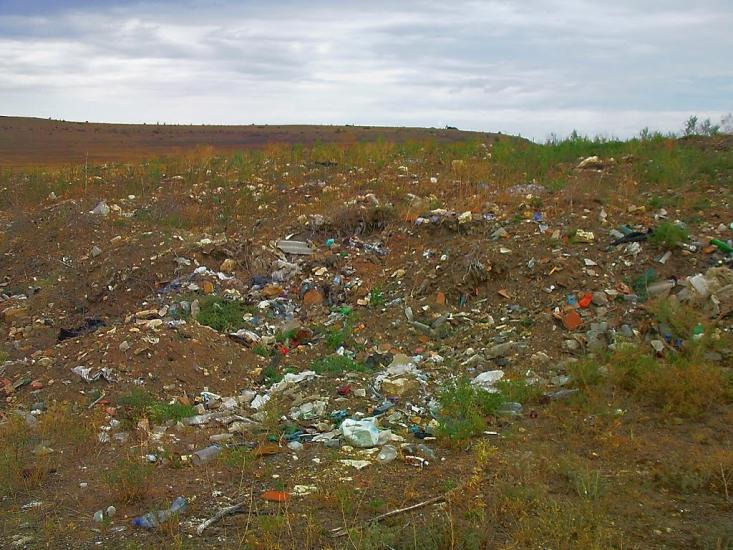 Каштани з panoramio.com - Каштани