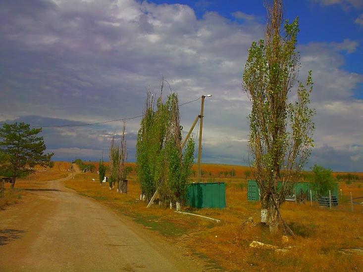 Шевченкове з panoramio.com - Шевченково