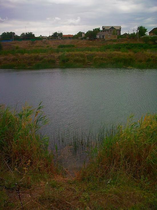 Шевченкове з panoramio.com - Шевченково