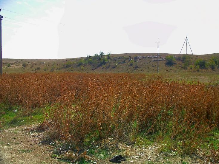 Кочергіне з panoramio.com - Кочергино