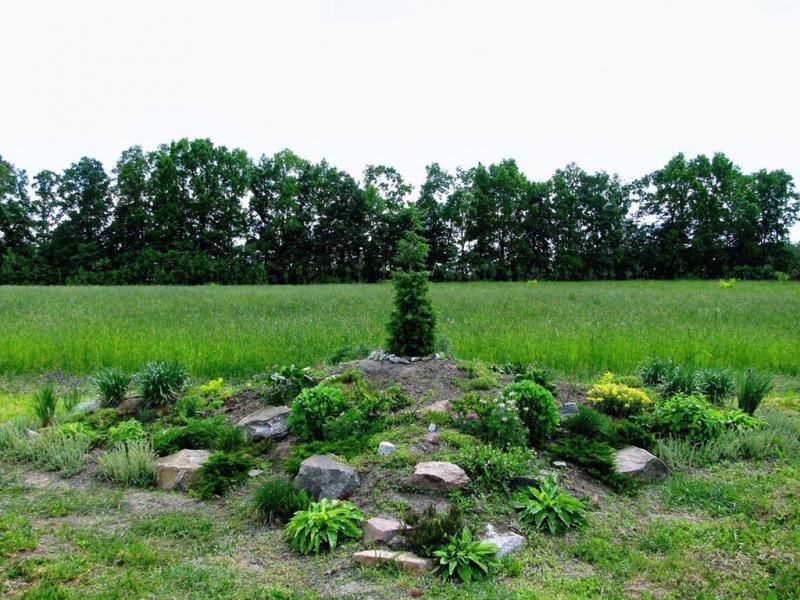 Заїзд з panoramio.com - Заезд