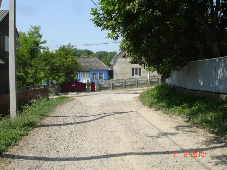 Динівці з panoramio.com - Диновцы