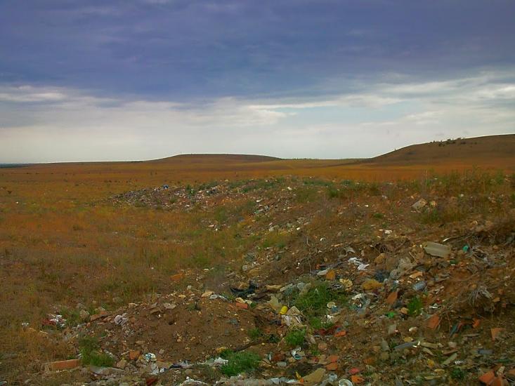 Каштани з panoramio.com - Каштани